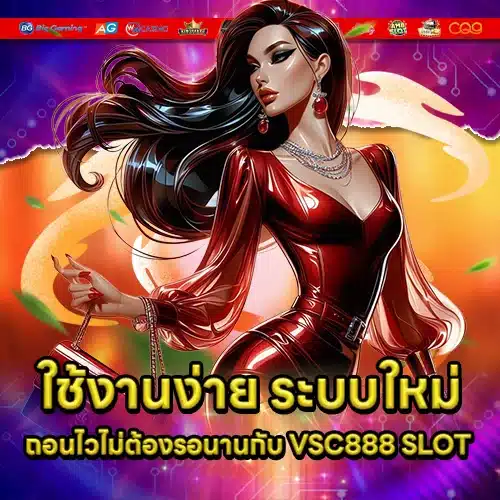 VSC888 SLOT (2) VSC888 SLOT (2)